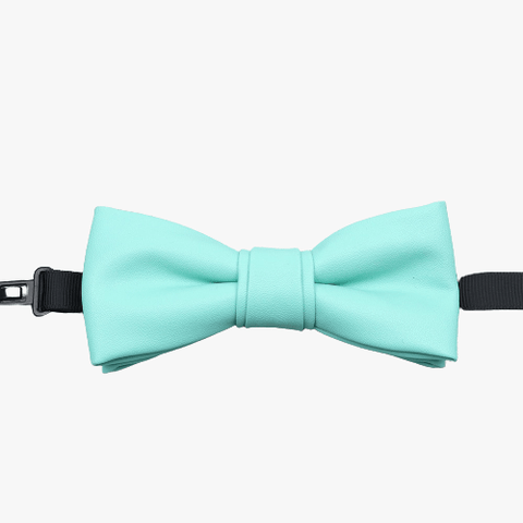 Noeud Papillon Cuir Turquoise