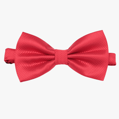 Noeud Papillon Rouge Mariage